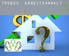 Trebus  arbeitsanwalt