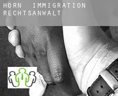 Horn  immigration rechtsanwalt