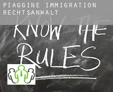 Piaggine  immigration rechtsanwalt