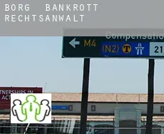 Borg  bankrott rechtsanwalt