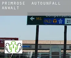 Primrose  Autounfall Anwalt