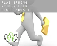 Flag Spring  krimineller rechtsanwalt