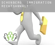 Schönberg  immigration rechtsanwalt