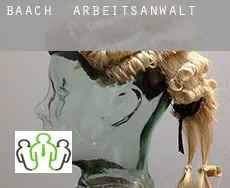 Baach  arbeitsanwalt
