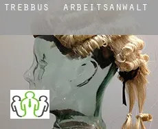 Trebbus  arbeitsanwalt