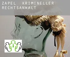 Zapel  krimineller rechtsanwalt