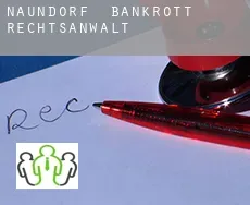 Naundorf  bankrott rechtsanwalt