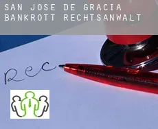 San Jose de Gracia  bankrott rechtsanwalt