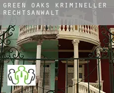 Green Oaks  krimineller rechtsanwalt