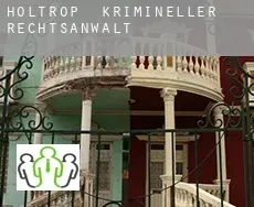 Holtrop  krimineller rechtsanwalt