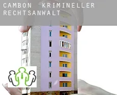 Cambon  krimineller rechtsanwalt