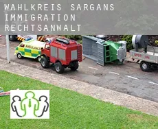 Wahlkreis Sargans immigration rechtsanwalt