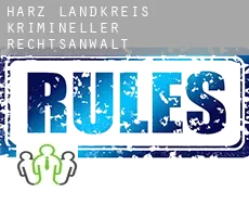 Harz Landkreis  krimineller rechtsanwalt