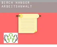 Birch Hanger  arbeitsanwalt