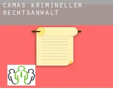 Camas krimineller rechtsanwalt