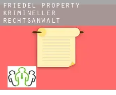 Friedel Property  krimineller rechtsanwalt