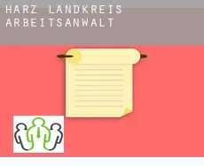 Harz Landkreis  arbeitsanwalt