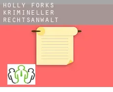 Holly Forks krimineller rechtsanwalt