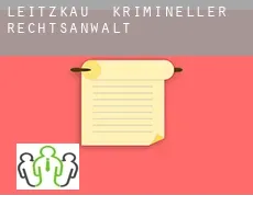 Leitzkau  krimineller rechtsanwalt