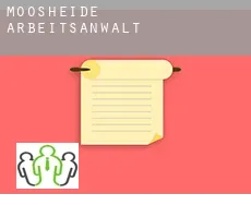 Moosheide  arbeitsanwalt