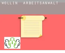 Wollin  arbeitsanwalt