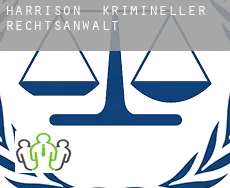 Harrison  krimineller rechtsanwalt