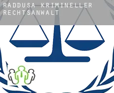Raddusa  krimineller rechtsanwalt