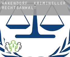 Wakendorf  krimineller rechtsanwalt