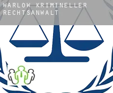 Warlow  krimineller rechtsanwalt