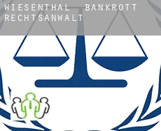 Wiesenthal  bankrott rechtsanwalt