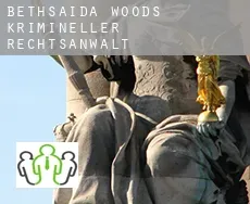 Bethsaida Woods  krimineller rechtsanwalt
