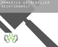 Emmerich  krimineller rechtsanwalt