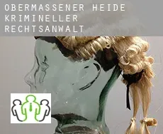 Obermassener Heide  krimineller rechtsanwalt