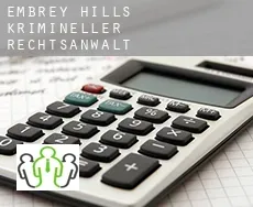 Embrey Hills  krimineller rechtsanwalt