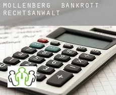 Mollenberg  bankrott rechtsanwalt