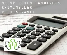 Neunkirchen Landkreis  krimineller rechtsanwalt